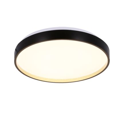 Φωτιστικό οροφής LED FLORIDA LED/18W/230V μαύρο