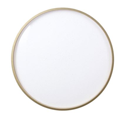 Φωτιστικό οροφής LED FLORIDA LED/18W/230V μαύρο