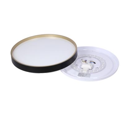 Φωτιστικό οροφής LED FLORIDA LED/18W/230V μαύρο