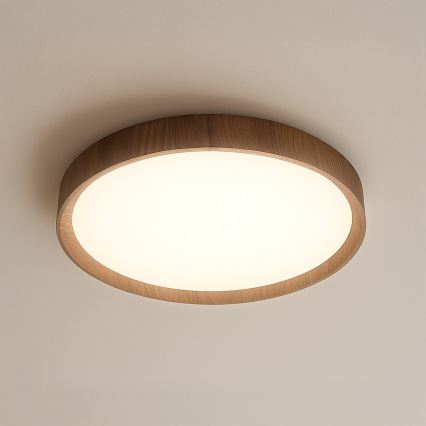 Φωτιστικό οροφής LED FOREST LED/24W/230V Ø39 cm καφέ