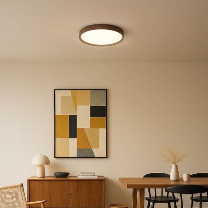 Φωτιστικό οροφής LED FOREST LED/24W/230V Ø39 cm καφέ