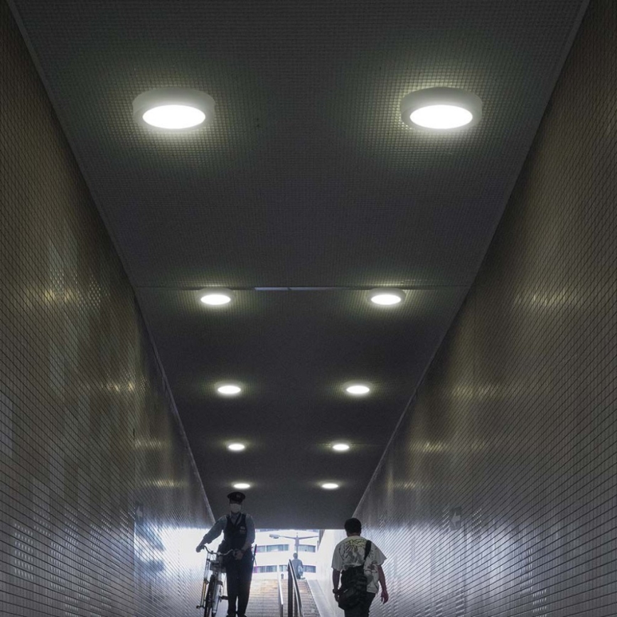 Φωτιστικό οροφής LED LED/12W/230V 6500K διάμετρος 16,7 cm λευκό