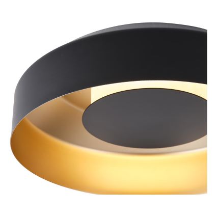 Φωτιστικό οροφής LED LED/20W/230V 3000K μαύρο