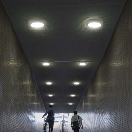 Φωτιστικό οροφής LED LED/24W/230V 3000K διάμετρος 28,8 cm