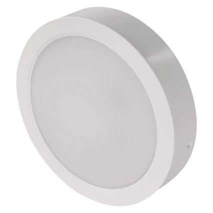 Φωτιστικό οροφής LED LED/24W/230V διάμετρος 22 cm λευκό