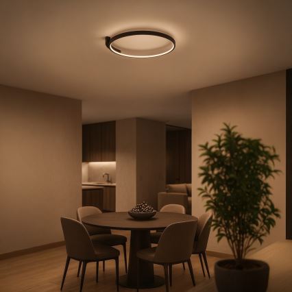Φωτιστικό οροφής LED LUNA LED/18W/230V, διάμ. 42,5 cm, μαύρο