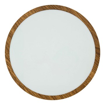 Φωτιστικό οροφής LED RING LED/24W/230V 4200K διάμετρος 28,5 cm καφέ