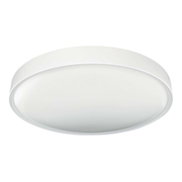 Φωτιστικό οροφής LED SAMER LED/32W/230V 4000K