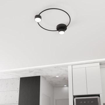 Φωτιστικό οροφής LUCIO 2xGX53/12W/230V μαύρο