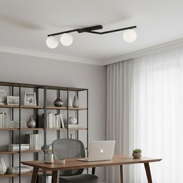 Φωτιστικό οροφής NATON 3xE14/10W/230V μαύρο/λευκό
