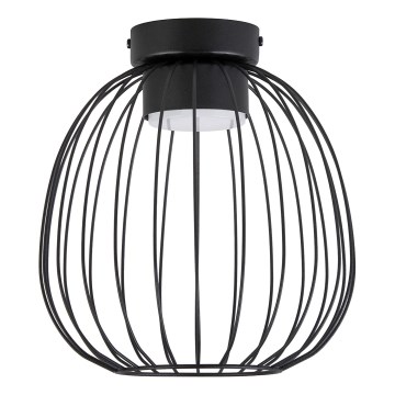 Φωτιστικό οροφής OVELLA 1xGX53/10W/230V, διάμ. 25 cm, μαύρο