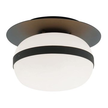 Φωτιστικό οροφής PALMA 1xE27/40W/230V μαύρο