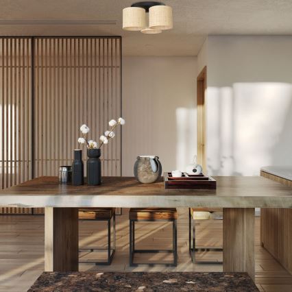 Πλαφονιέρα RATTAN επιτοίχια 3xE27/60W/230V ρατάν