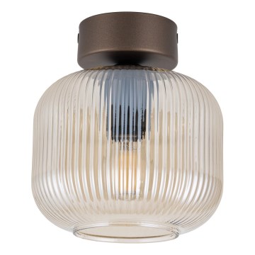 Φωτιστικό οροφής SALVIA 1xE14/10W/230V διάμ. 15 εκ. καφέ/καπνιστό καφέ