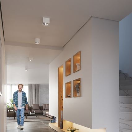 Φωτιστικό οροφής SEIDA 1xGU10/40W/230V