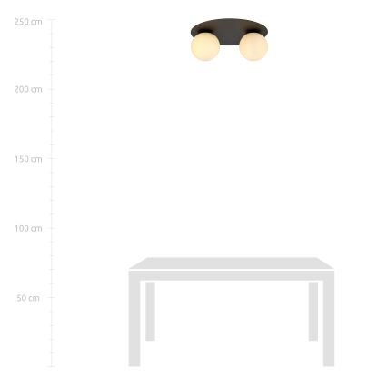Φωτιστικό οροφής SOLAR 2xE14/10W/230V μαύρο/λευκό