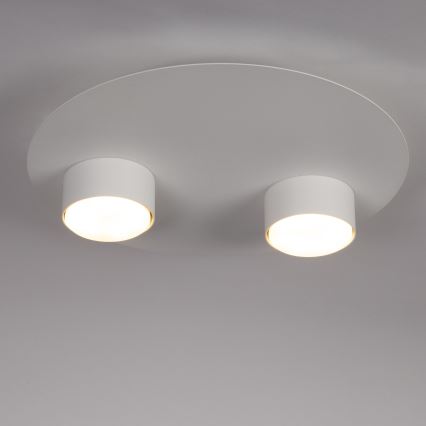 Φωτιστικό οροφής STAR 2xGX53/12W/230V λευκό