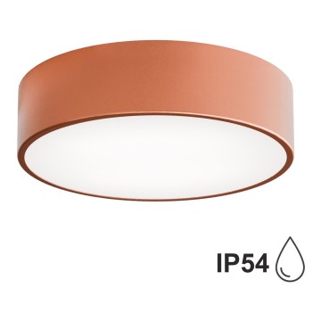 Φωτιστικό οροφής εξωτερικού χώρου με αισθητήρα CLEO 2xE27/24W/230V δ. 30 cm χαλκός IP54