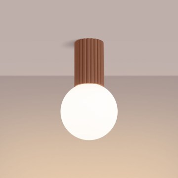 Φωτιστικό οροφής μπάνιου HALO 1xG9/8W/230V διάμετρος 12 cm IP44 καφέ