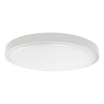 Φωτιστικό οροφής μπάνιου LED LED/18W/230V 6500K IP44 διάμετρος 22,5 cm λευκό