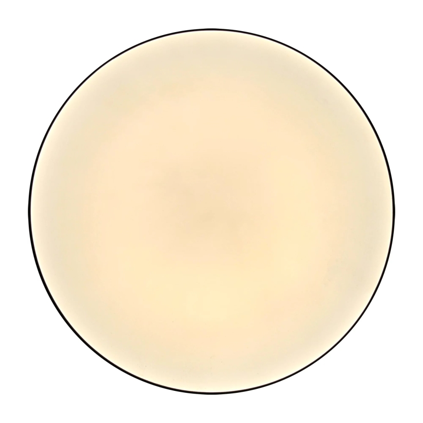 Φωτιστικό οροφής μπάνιου LED MOON LED/18W/230V μαύρο IP44