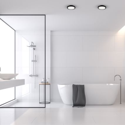 Φωτιστικό οροφής μπάνιου LED VERA LED/12W/230V 4000K IP65 μαύρο