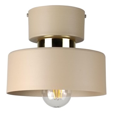 Φωτιστικό οροφής IGNIA 1xE27/60W/230V taupe