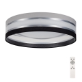 Φωτιστικό οροφής LED Dimmable SMART CORAL LED/24W/230V μαύρο/γκρι + τηλεχειριστήριο
