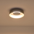Φωτιστικό οροφής LED LED/20W/230V 3000K μαύρο