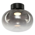 Φωτιστικό οροφής LED VASO LED/4W/230V διάμετρος 18 cm μαύρο/φιμέ
