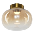 Φωτιστικό οροφής LED VASO LED/4W/230V διάμετρος 18 cm χρυσό/φιμέ