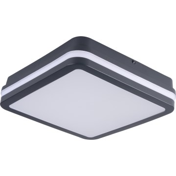 Φωτιστικό οροφής εξωτερικού χώρου LED BENO LED/12/18W/230V 3000/3500/4000K IP65 ανθρακί γωνιακό