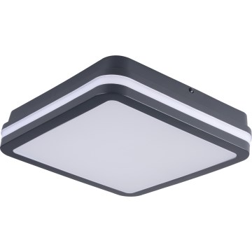 Φωτιστικό οροφής εξωτερικού χώρου LED BENO LED/24/30W/230V 3000/3500/4000K IP65 ανθρακί γωνιακό