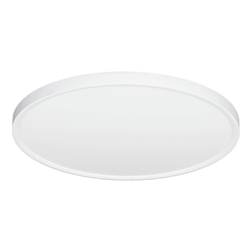 Fulgur 42363 - Φωτιστικό οροφής LED NOMY LED/40W/230V 3000/4000/6000K IP40 διάμετρος 50 cm λευκό