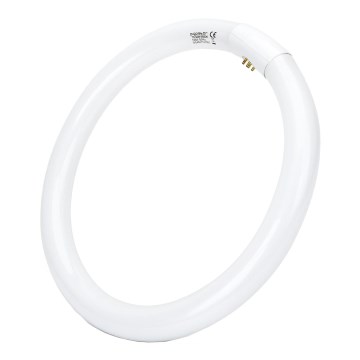 Φθοριστικός σωλήνας T9 G10q/32W/230V 6500K - Aigostar