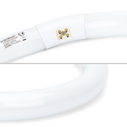 Φθοριστικός σωλήνας T9 G10q/32W/230V 6500K - Aigostar