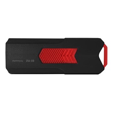 Φορητή μνήμη USB 256 GB