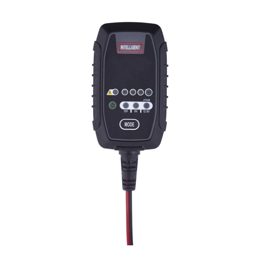 Φορτιστής μπαταρίας αυτοκινήτου 6/12V 0,8A