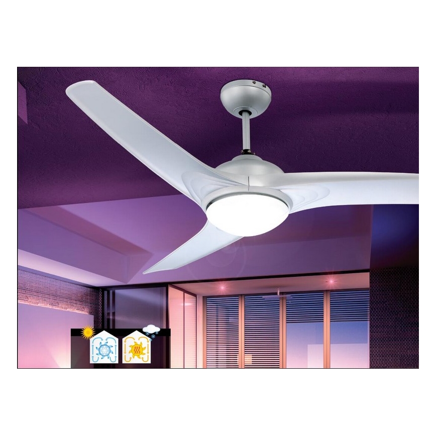 Globo - Ανεμιστήρας οροφής 2xE14/40W/230V