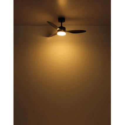 Globo - Ανεμιστήρας οροφής LED Dimmable LED/20W/230V 2700-6500K + τηλεχειριστήριο