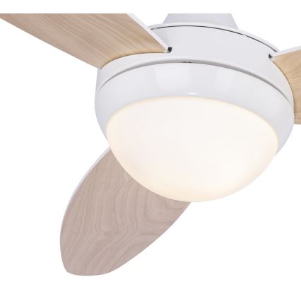 Globo 03612 - Ανεμιστήρας οροφής CORDULA 2xE14/40W/230V + έλεγχος