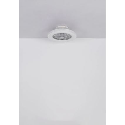 Globo - Ανεμιστήρας οροφής LED Dimmable LED/40W/230V 3000-6500K + τηλεχειριστήριο