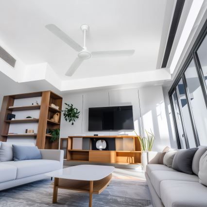 Globo 03806 - Ανεμιστήρας οροφής FERRO