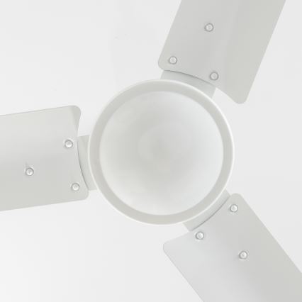 Globo 03806 - Ανεμιστήρας οροφής FERRO