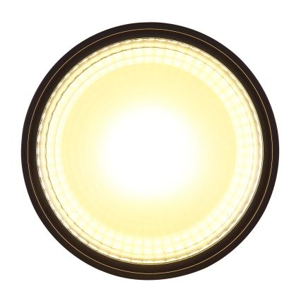 Globo - Φωτιστικό οροφής LED LED/12W/230V 3000K