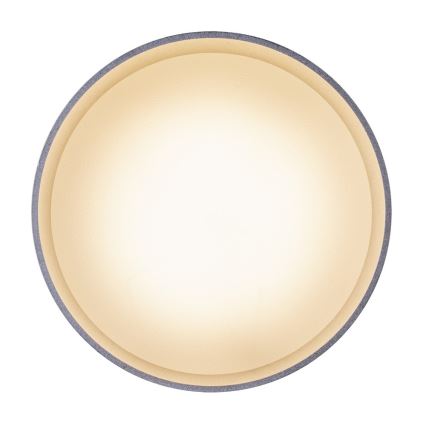 Globo - Οροφής φωτιστικό LED/8W/230V + LED/4W/230V