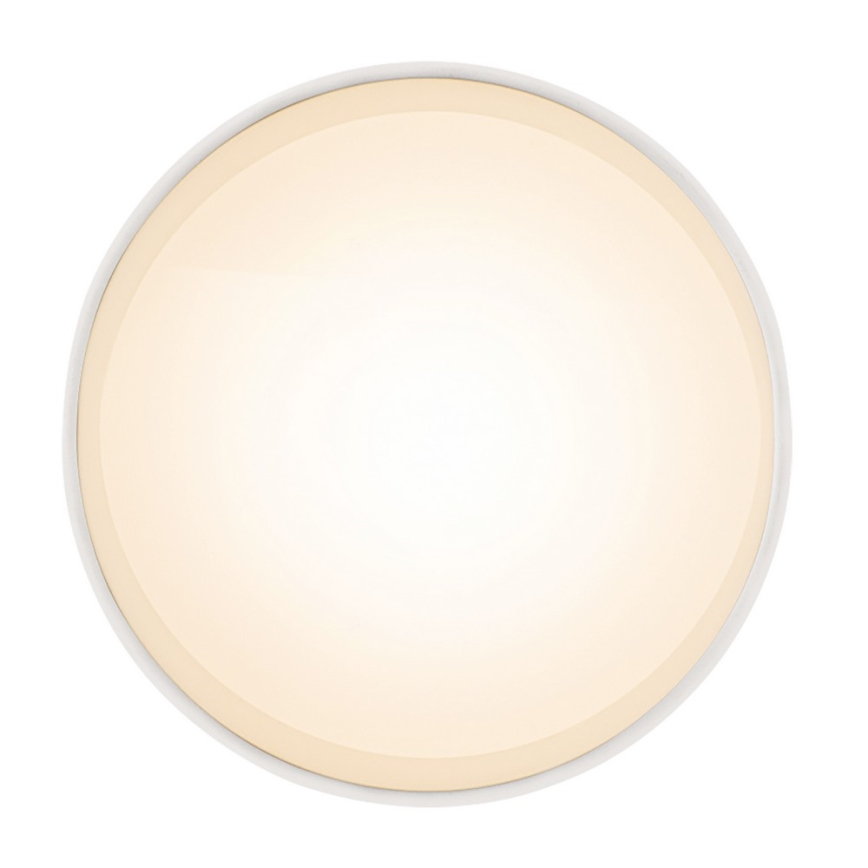 Globo - Φως οροφής LED LED/8W/230V
