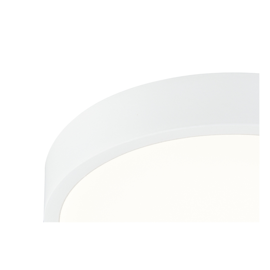 Globo - Φωτιστικό οροφής LED Dimmable LED/22W/230V