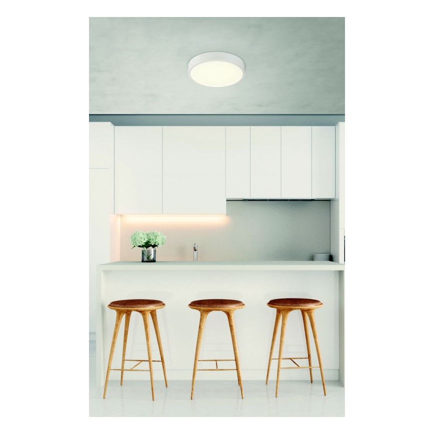 Globo - Φωτιστικό οροφής LED Dimmable LED/22W/230V