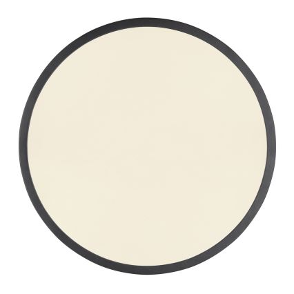 Globo - Ρυθμιζόμενο LED φωτιστικό οροφής LED/22W/230V